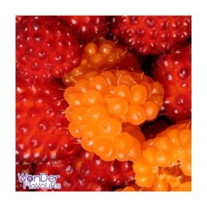 Wonder Flavours - Alaskan Berries SC
