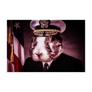 VE Legacy - Admiral V.